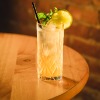 Fresh Mint Mojito
